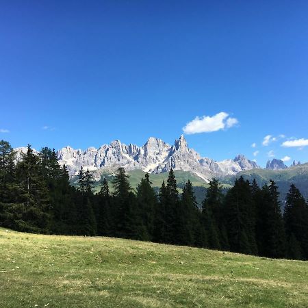 il Finferlo Villa Bellamonte Eksteriør bilde