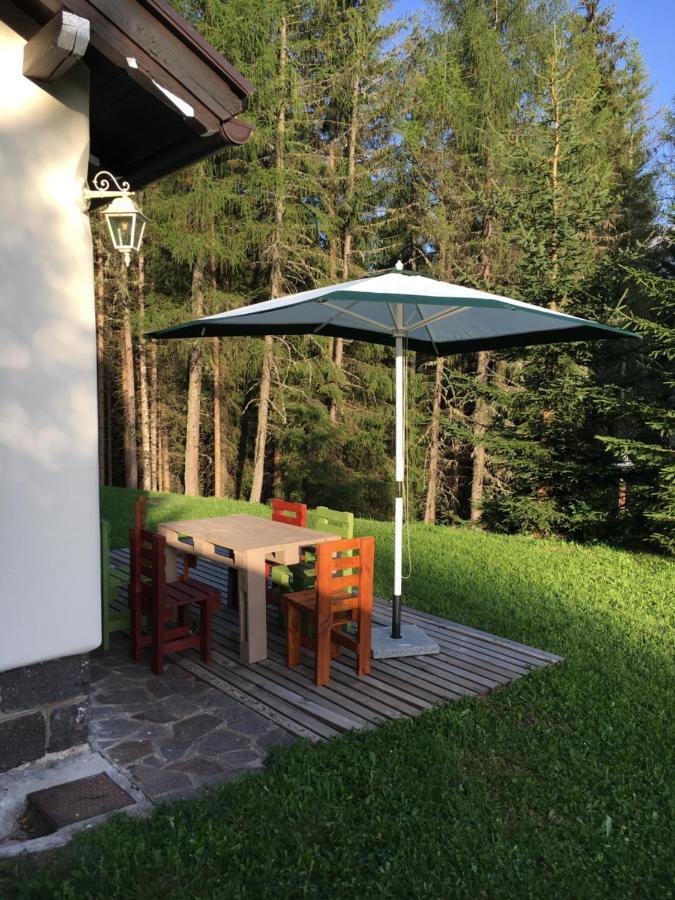 il Finferlo Villa Bellamonte Eksteriør bilde